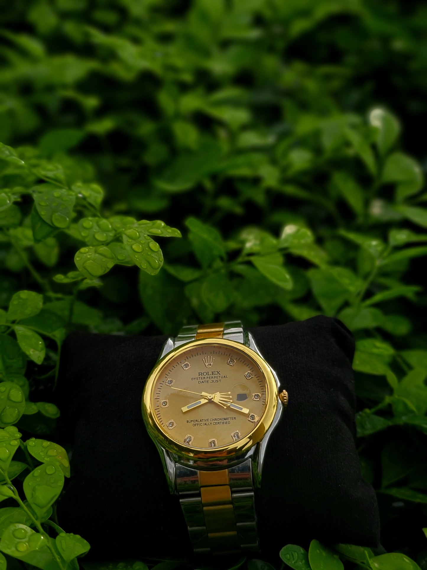 Rolex Datejust Golden